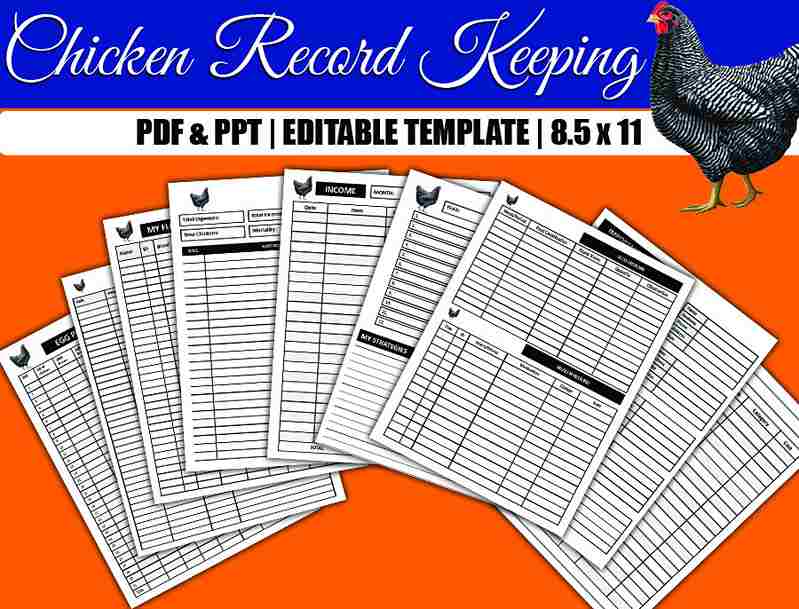 Chicken Record Keeping Template Forms